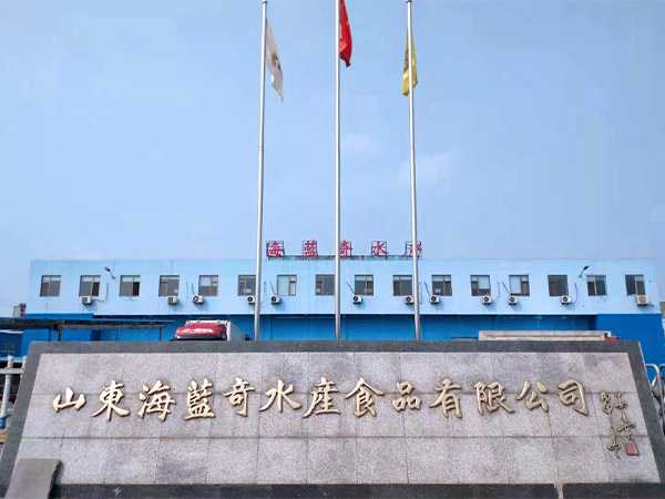 Congratulations on the launch of the new version of Shandong Hailanqi Aquatic Food Co., Ltd.!